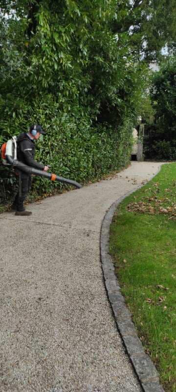 entreprise entretien espaces verts Busson Paysagiste Vitré (6)