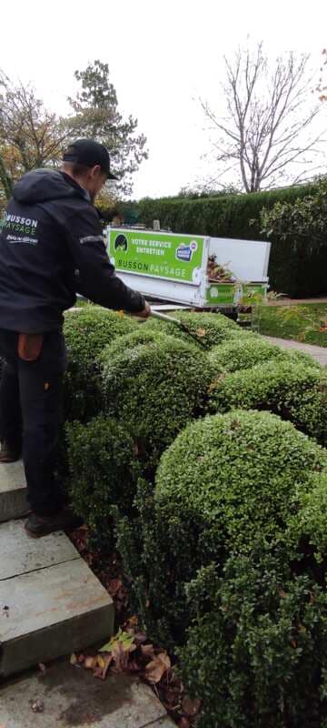 entreprise entretien espaces verts Busson Paysagiste Vitré (7)