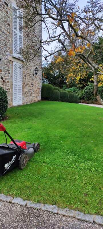 entreprise entretien espaces verts Busson Paysagiste Vitré (8)